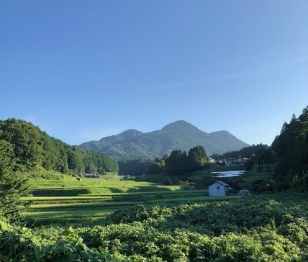 お気に入りの景色